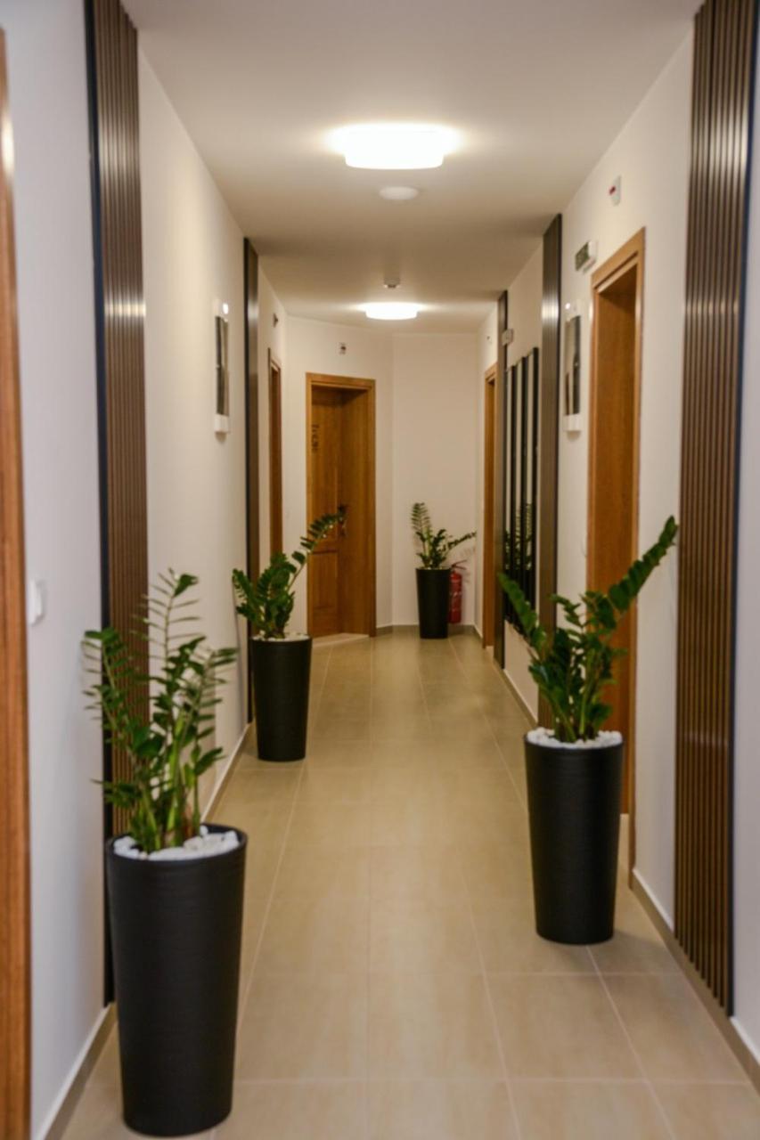 Mini Hotel Riverlux Apartments Bačka Palanka Exteriér fotografie